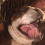 Profile Picture of Derek Dumas (@ddumasemt) on Instagram