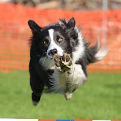 Profile Picture of Jim Knox (@jimtami1) on Youtube