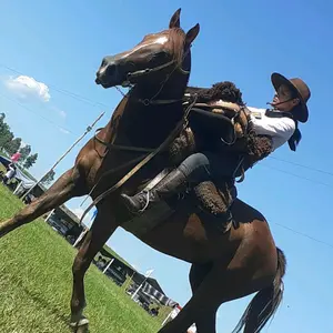 Profile Picture of Tatiana Gonzalvez (@tatiana_gonzalvez08) on Tiktok
