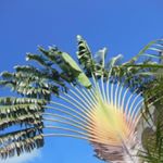 Profile Picture of Tony Aliaga (@ton.aliaga) on Instagram