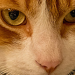 Profile Picture of Alex Santos (@Alex2278) on Flickr