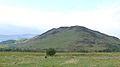 Profile Picture of Conic Hillon Wikipedia