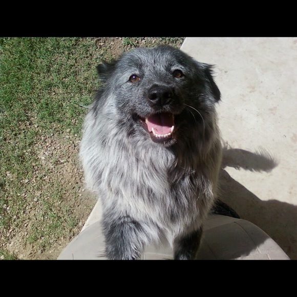 Profile Picture of Brittany Hoesley (@bwiknee) on Poshmark