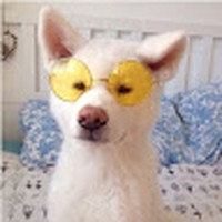 Profile Picture of David Brzozowski (@david-brzozowski-1) on Quora
