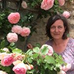Profile Picture of Sigrid Lüdtke (@sigidornroeschen) on Instagram