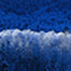 Profile Picture of dominique murphy (@murphydominique) on Flickr
