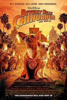 Profile Picture of Beverly Hills Chihuahuaon Wikipedia