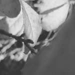 Profile Picture of Gabriel Nicholson (@genexplatinumphotography4) on Instagram