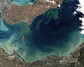 Profile Picture of Algal bloomon Wikipedia