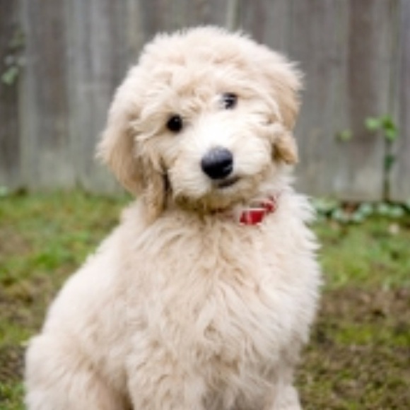 Profile Picture of Haley Morgan (@hmorgan19) on Poshmark