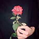 Profile Picture of David_Bulatsev (@bulats.dav) on Instagram