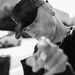 Profile Picture of Jason Rouse (@jasonrouse666) on Pinterest