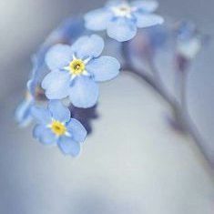 Profile Picture of Rosa Leonor Parente (@RosaLeonorPare1) on Twitter