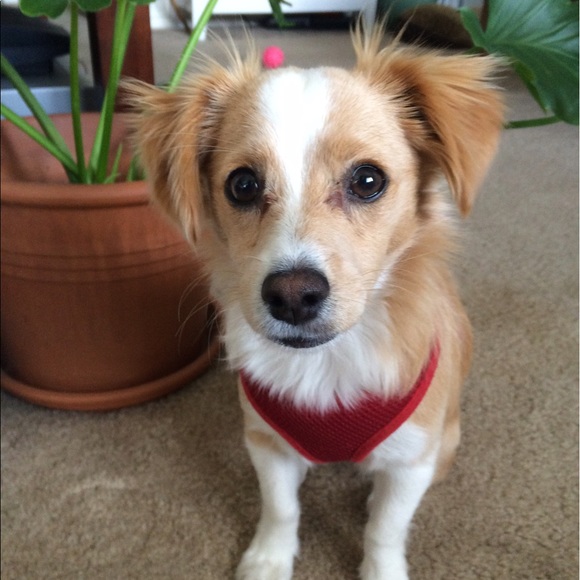 Profile Picture of Savannah Casteel (@slcasteel) on Poshmark