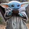 Profile Picture of Tyson (@tysonturtle21) on Tiktok