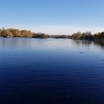 Profile Picture of Patrick Krause (@patr1ckkrause) on Instagram