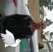 Profile Picture of Paul Mcdougald (@paul.mcdougald.14) on Facebook