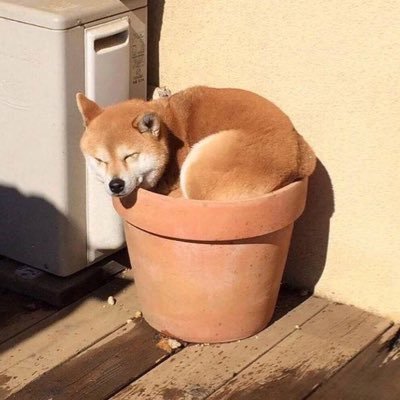 Profile Picture of Trash (@naulita_sarah) on Twitter