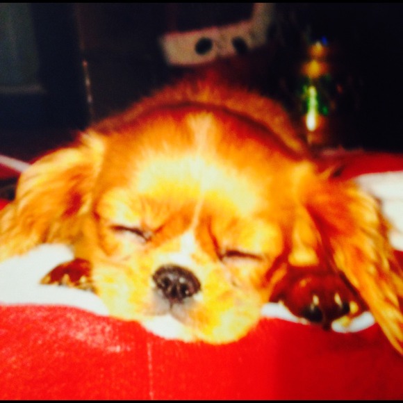 Profile Picture of Bobbie Anderson (@1678) on Poshmark