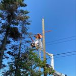 Profile Picture of Patrick Rideout (@pat_rideout) on Instagram