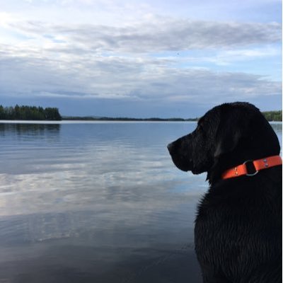 Profile Picture of Jacob McCluskey (@JacobMcCluskey4) on Twitter