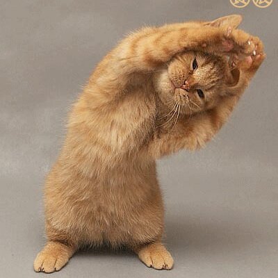 Profile Picture of Andrea Pieri (@pipi55pc) on Twitter