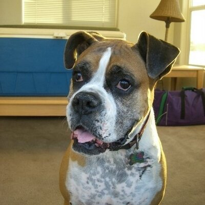 Profile Picture of Leann Freeman (@LeannFreeman) on Twitter