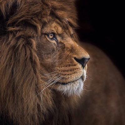 Profile Picture of Josh Putney (@JoshPutney) on Twitter