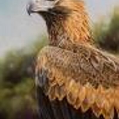 Profile Picture of Ben_huston (@ben_huston) on Twitter