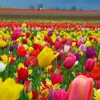 Profile Picture of Fotini Gavrielidou (@fotini-gavrielidou) on Quora