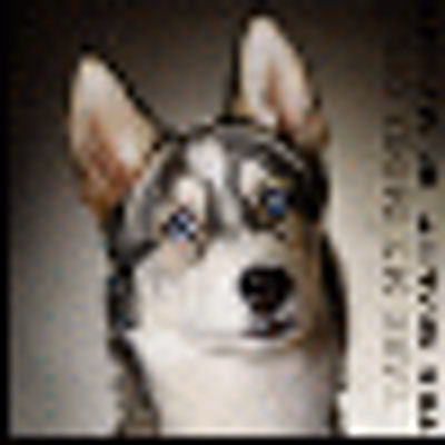 Profile Picture of Vincent Acevedo (@5phvladxia) on Twitter