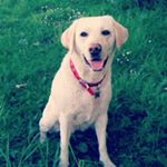 Profile Picture of Christopher O'Brien (@christo_1303) on Instagram