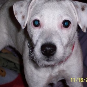 Profile Picture of D00Gis (@doog85) on Myspace