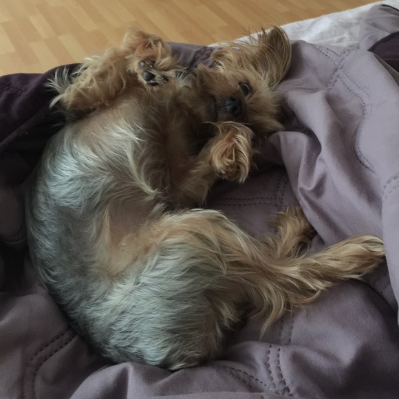 Profile Picture of B Fetherhuff (@bfetherh) on Poshmark