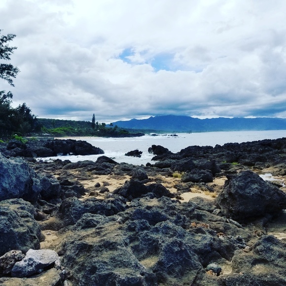 Profile Picture of Craig Woo (@craigwoo) on Poshmark