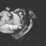 Profile Picture of Charles Moore (@charlesmoore1970) on Instagram