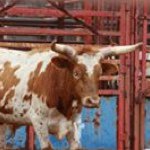 Profile Picture of Keith Drawdy (@krocc44) on Instagram