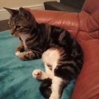 Profile Picture of Kevin Levers (@kevin-levers) on Quora