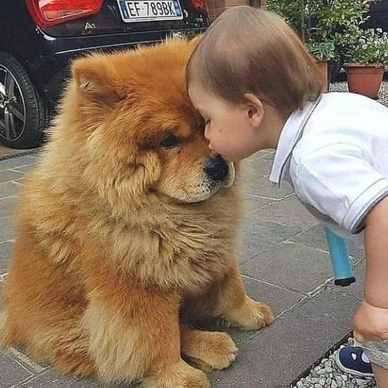 Profile Picture of Danilo Tolentino621 (@danilotolentino62) on Tiktok