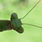 Profile Picture of Matt Hendricks (@Barmatt21) on Flickr