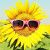 Profile Picture of Nora Lowe (@lowe8799) on Pinterest