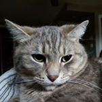 Profile Picture of Shawn Lund (@shawn.lund.946) on Instagram