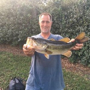 Profile Picture of David W. Eales (@DavidWEales3) on Twitter