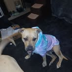 Profile Picture of Brian Anderson (@brian.anderson.61432) on Facebook