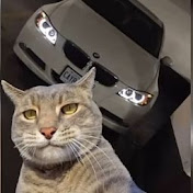 Profile Picture of RALL Kaczorowski (@rallkaczorowski5233) on Youtube