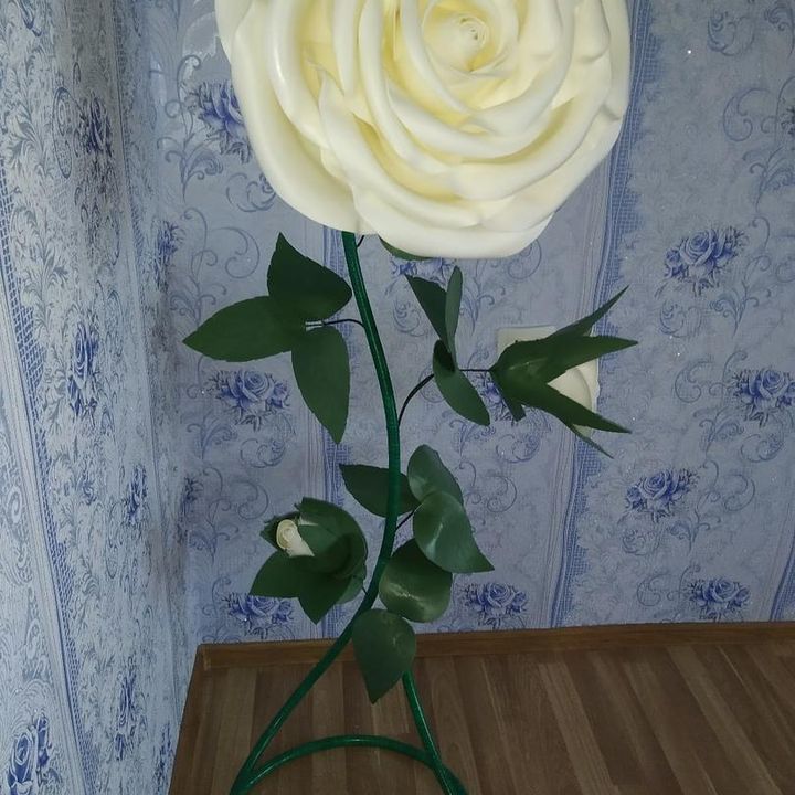 Profile Picture of Corey Rees (@viawindnigazp1970) on Tiktok