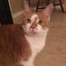 Profile Picture of Marilyn GrantLinder (@marilyn.grantlinder) on Facebook