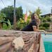 Profile Picture of Karen Contreras (@karen.contreras.14661261) on Facebook