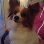 Profile Picture of Lorraine De Turk (@lorraine.de.turk.2025) on Facebook