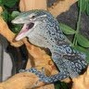 Profile Picture of Stephen Breen (@stephenbreen7570) on Youtube